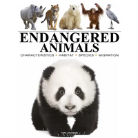 Endangered Animals - Paperback
