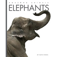 Elephants - Paperback