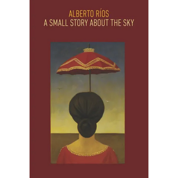 A Small Story about the Sky - Paperback