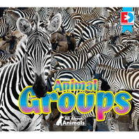 All about Animals - Animal Groups - Library Binding