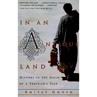 In an Antique Land: History in the Guise of a Traveler's Tale - Paperback