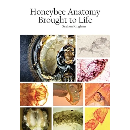 Honeybee Anatomy Brought to Life