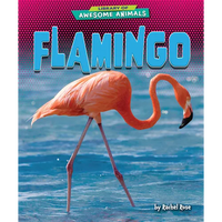Flamingo - Paperback