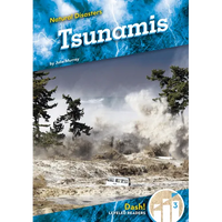 Tsunamis - Library Binding