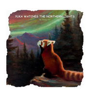 Yuka watches the Northern Lights - Hardcover