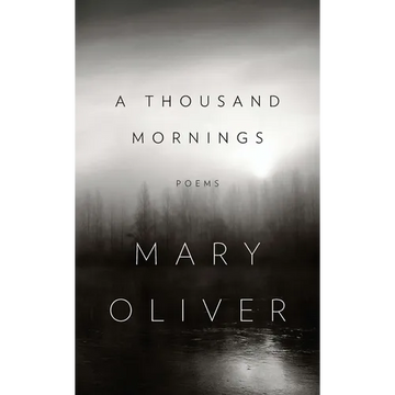 A Thousand Mornings - Hardcover