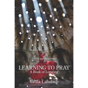 Learning to Pray: A Book of Longing - Paperback