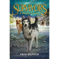 A Hidden Enemy - Paperback