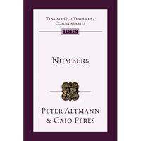 Numbers: An Introduction and Commentary Volume 4 - Paperback