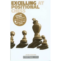 Excelling at Positional Chess - Paperback