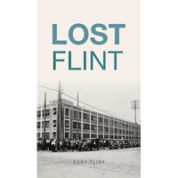 Lost Flint - Hardcover