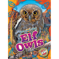 Elf Owls - Library Binding