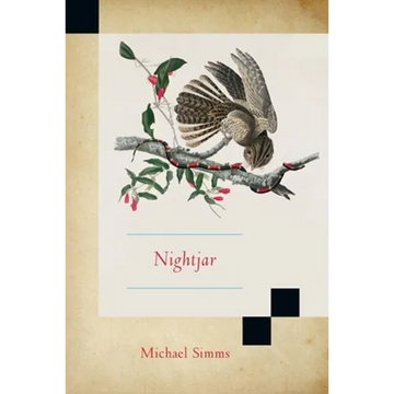 Nightjar - Paperback