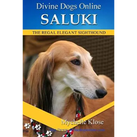 Saluki - Paperback