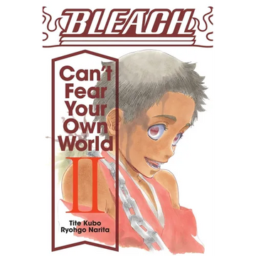Bleach: Can't Fear Your Own World, Vol. 2 - Paperback