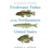 Freshwater Fishes of the Northeastern United States: A Field Guide - Paperback