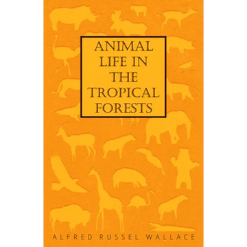 Animal Life in the Tropical Forests - Paperback