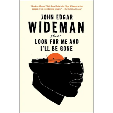Look for Me and I'll Be Gone: Stories - Paperback