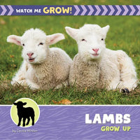Lambs Grow Up - Paperback