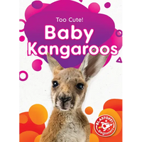Baby Kangaroos - Library Binding
