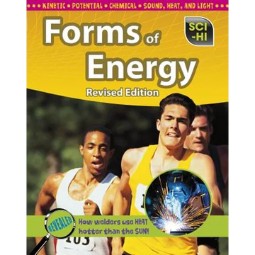 Forms of Energy - Paperback