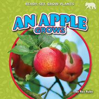 An Apple Grows - Paperback