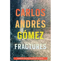 Fractures - Paperback
