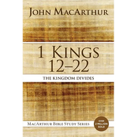 The 1 Kings 12 to 22: The Kingdom Divides - Paperback