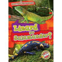 Lizard or Salamander? - Library Binding