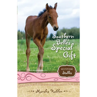 The Southern Belle's Special Gift: 3 - Paperback