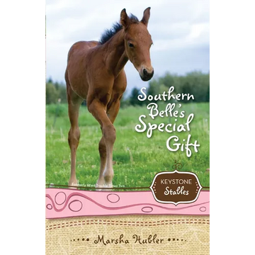 The Southern Belle's Special Gift: 3 - Paperback