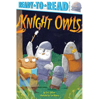Knight Owls: Ready-To-Read Pre-Level 1 - Paperback
