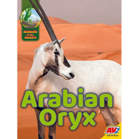 Arabian Oryx - Library Binding