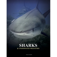 Sharks and Underwater Predators - Hardcover