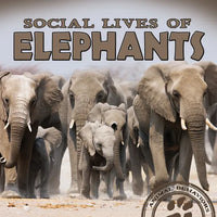 Social Lives of Elephants - Paperback