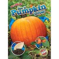 See a Pumpkin Grow - Paperback