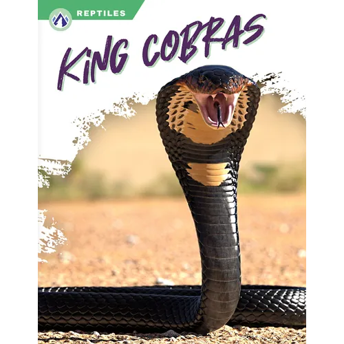 King Cobras