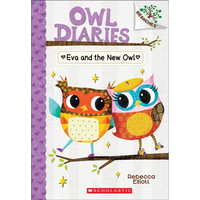 Eva and the New Owl - Hardcover