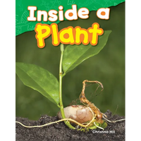 Inside a Plant - Paperback