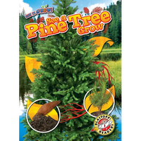 See a Pine Tree Grow - Paperback
