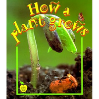 How a Plant Grows - Paperback