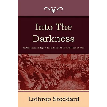 Into the Darkness - Paperback