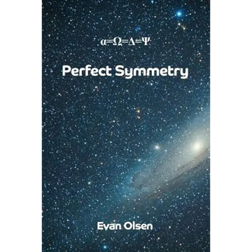 Perfect Symmetry - Paperback