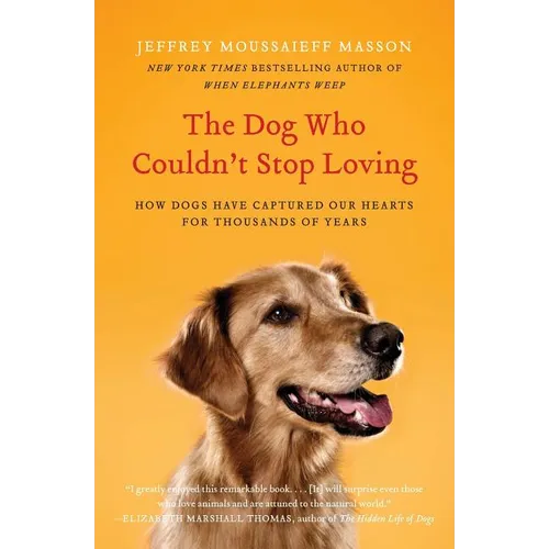 The Dog Who Couldn't Stop Loving