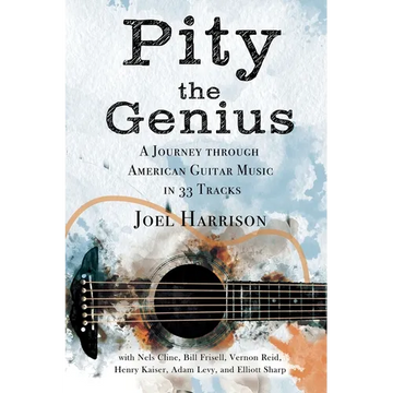Pity the Genius: A Journey through American Guitar Music in 33 Tracks - Paperback