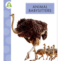Animal Babysitters - Hardcover