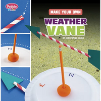 Make Your Own Weather Vane - Paperback