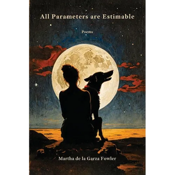 All Parameters are Estimable - Paperback