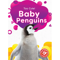 Baby Penguins - Paperback