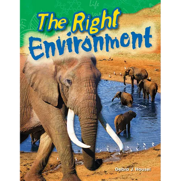 The Right Environment - Paperback